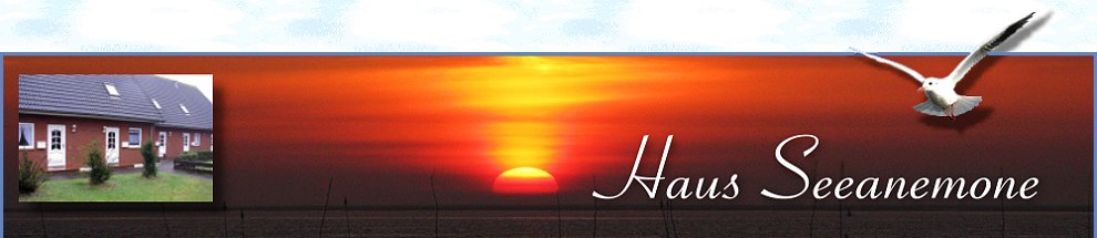 amrum ferienwohnungen